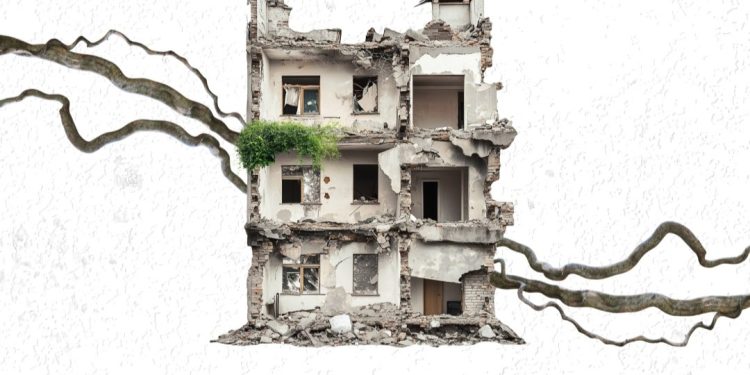 The Border Bleeds Green: Ecologies of Ruin and Resistance