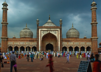 Güney Asya’da Müslüman Düşünce Kuruluşları