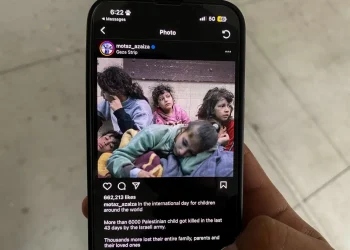 Seeing Pain: On the Visual Representation of Disaster and Online Censorship in Social Media