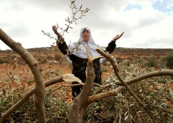 Beyond the Occupation: Israeli Settler Colonialism