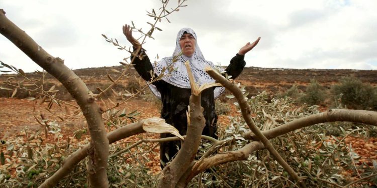 Beyond the Occupation: Israeli Settler Colonialism