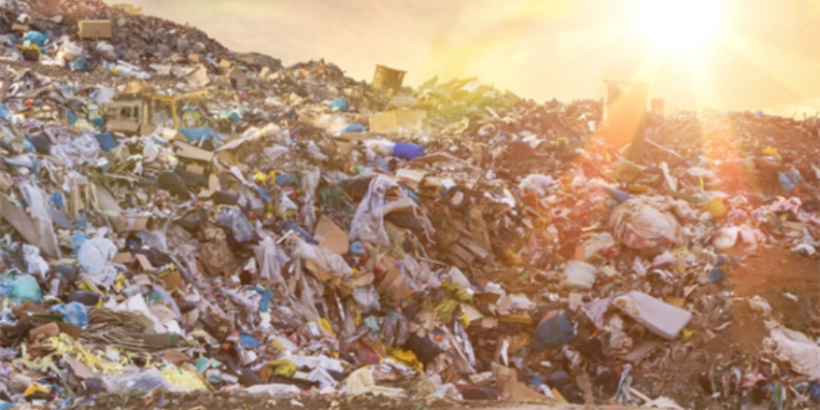 Book Review: Signs on the Earth: Islam, Modernity and the Climate Crisis