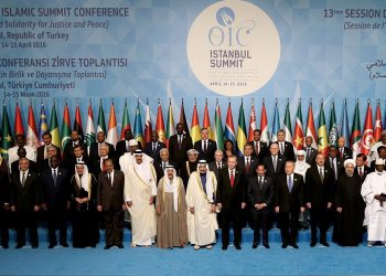 Environmental Sustainability and Development in OIC Countries