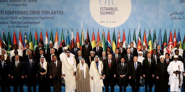 Environmental Sustainability and Development in OIC Countries