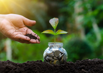 Green Islamic Finance: An Eco-Islamic Approach