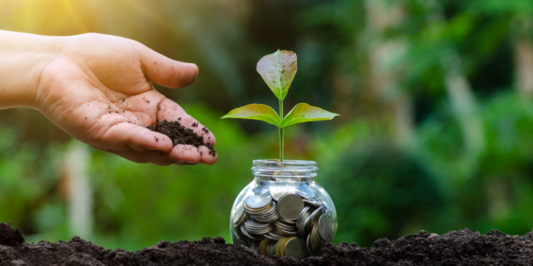 Green Islamic Finance: An Eco-Islamic Approach