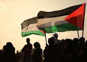How Should We Approach the Palestinian Case?