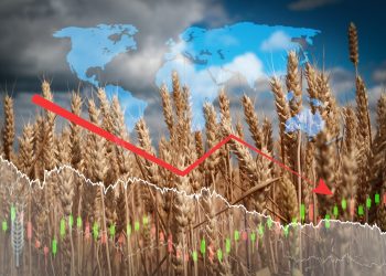 The Dilemma of Global Norms in Food Security: The Case of Palestine