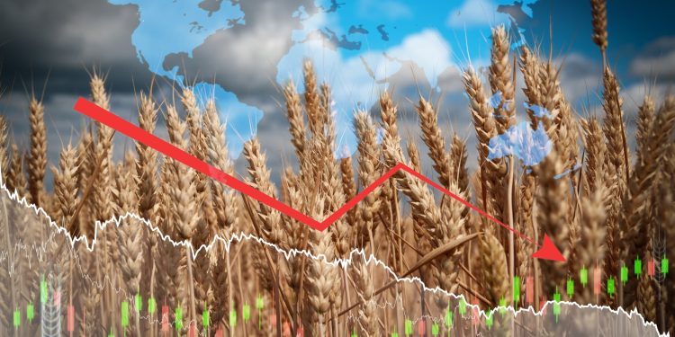 The Dilemma of Global Norms in Food Security: The Case of Palestine