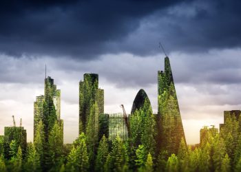 Thoughts on the Universal Necessity of Development