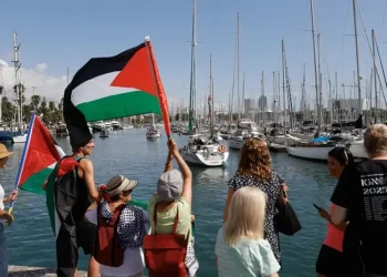 Sumud from the Perspective of International Law Scholars