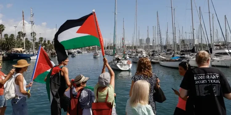 Sumud from the Perspective of International Law Scholars