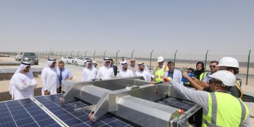 Unveiling the Potential of Energy Industry Leaders in Embracing Environmental Responsibility