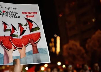 Insight into Turkey’s Civil Society Ecosystem in light of the Experience of the Global Sumud Flotilla