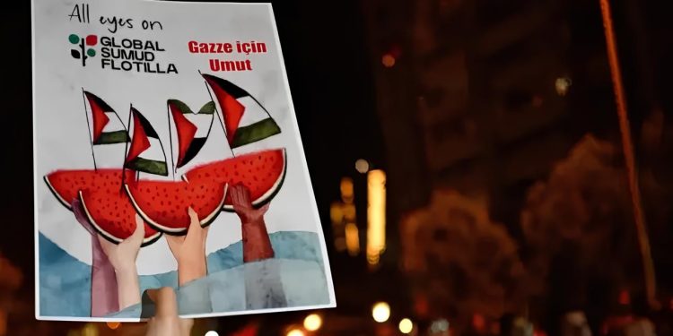 Insight into Turkey’s Civil Society Ecosystem in light of the Experience of the Global Sumud Flotilla