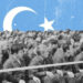 Doğu Türkistan’da Toplama Kampları Gerçeği