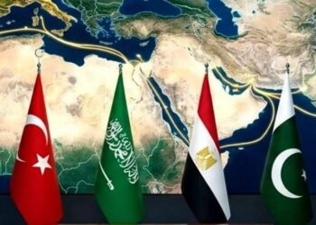 A Possible New Breath in Regional Balances: The Alliance of Türkiye, Pakistan, Egypt, and Saudi Arabia
