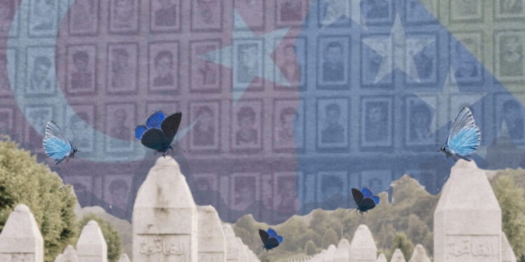 Türkiye’s Evolving Role in Preserving the Memory of the Srebrenica Genocide